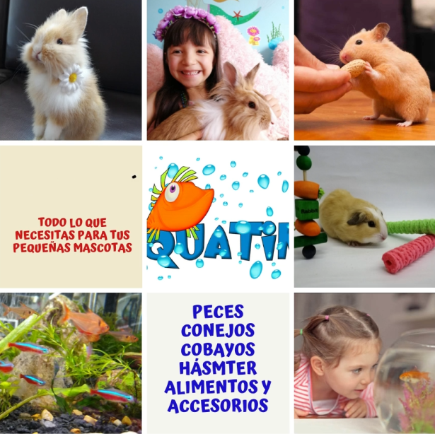AQUATIK 2