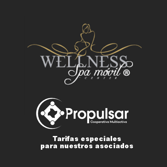 WELLNESS SPA